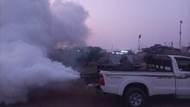 الخوخة.. حملة مكثفة لحماية الآلاف من أمراض البعوض القاتلة