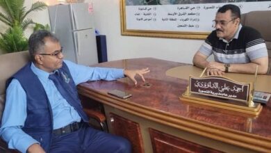 المنصورة تُعزز السلامة المرورية بتركيب إشارات ضوئية في شوارعها الرئيسية