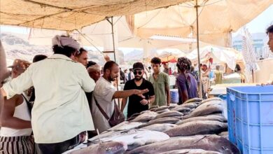 حملة رقابية في عدن تصادر كميات من الأسماك غير الصالحة للاستهلاك