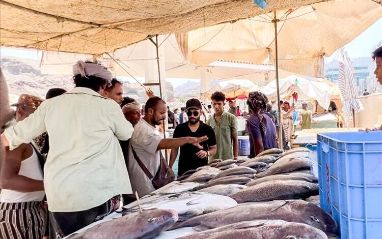 حملة رقابية في عدن تصادر كميات من الأسماك غير الصالحة للاستهلاك 1 حملة رقابية في عدن تصادر كميات من الأسماك غير الصالحة للاستهلاك
