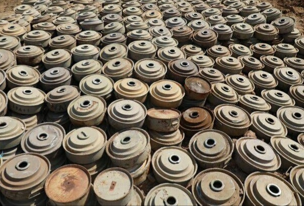 مسام: إتلاف وتفجير 1513 لغم حوثي وقذيفة غير منفجرة في ذوباب بالساحل الغربي 1 مسام: إتلاف وتفجير 1513 لغم حوثي وقذيفة غير منفجرة في ذوباب بالساحل الغربي
