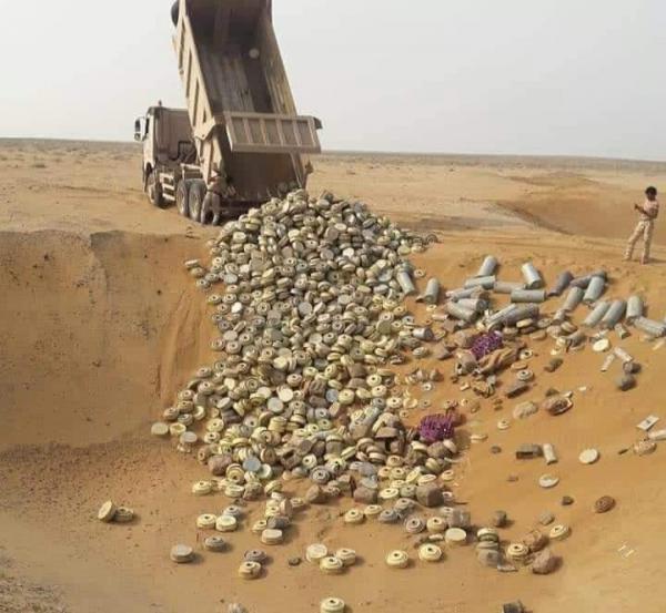 القبض على خلية حوثية لزرع العبوات الناسفة في التحيتا 1 القبض على خلية حوثية لزرع العبوات الناسفة في التحيتا