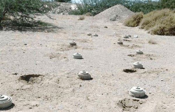 لغم حوثي يمزق جسد مواطن في المخا 1 لغم حوثي يمزق جسد مواطن في المخا