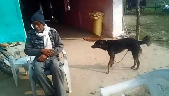 هندي يقرر ترك نصف ثروته لكلبه لهذا السبب 1 هندي يقرر ترك نصف ثروته لكلبه لهذا السبب