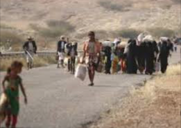الوحدة التنفيذية لمخيمات النازحين تعلن نزوح 485 أسرة يمنية خلال نوفمبر الماضي
