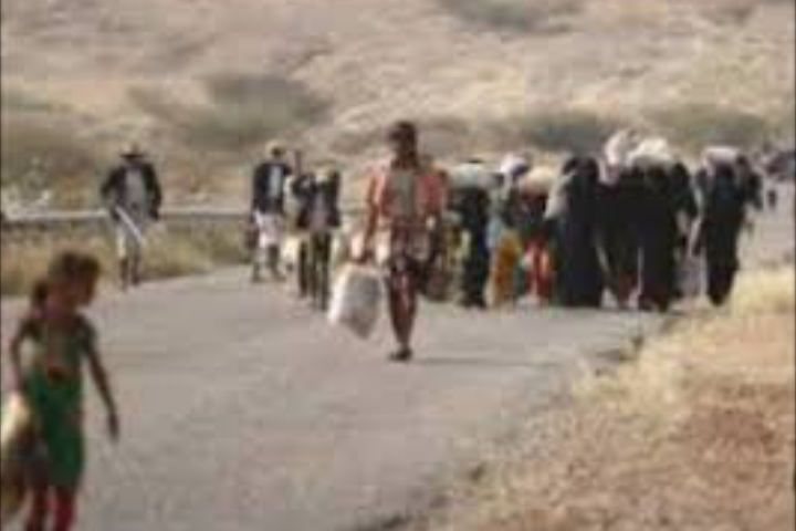 الهجرة الدولية تعلن نزوح 19 أسرة يمنية خلال الأسبوع الماضي