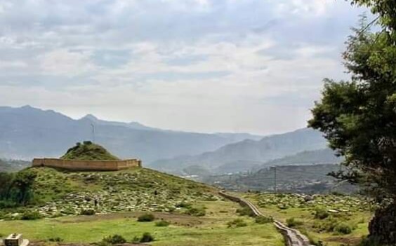 مليشيا الحوثي تسطو على أراض تابعة للأوقاف في جبلة إب