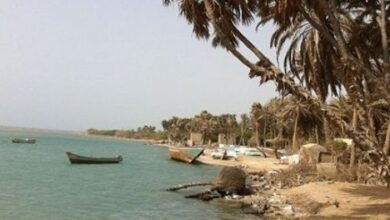 مليشيا الحوثي تستهدف صيادي الحديدة بمشروع جبوي جديد