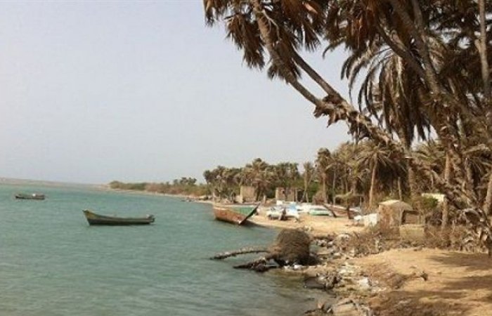 مليشيا الحوثي تستهدف صيادي الحديدة بمشروع جبوي جديد 1 مليشيا الحوثي تستهدف صيادي الحديدة بمشروع جبوي جديد