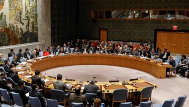 فلسطين تدعو مجلس الأمن لاستخدام الفصل السابع لإجبار إسرائيل على وقف الحرب في غزة