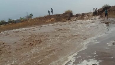 الوحدة التنفيذية في الحديدة توجه نداء لشركاء العمل الإنساني بالمحافظة