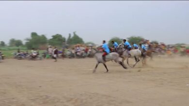 مربط الصقر يقيم سباق الفروسية الثاني في الخوخة