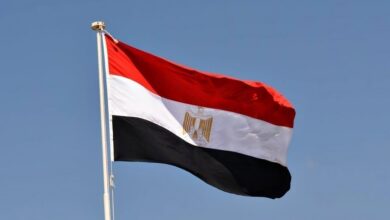 مصر تدين قصف إسرائيل مدرسة في غزة وقوات اليونيفيل بلبنان 10 مصر تدين قصف إسرائيل مدرسة في غزة وقوات اليونيفيل بلبنان