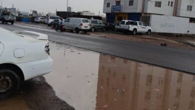 هطول أمطار متوسطة على مدينة المخا