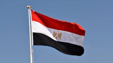 مصر تنفي مزاعم التعاون مع إسرائيل فى عملياتها العسكرية 7 مصر تنفي مزاعم التعاون مع إسرائيل فى عملياتها العسكرية