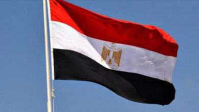 مصر تعلن انضمامها للخطاب الموجه إلى الأمم المتحدة للمطالبة بوقف تصدير الأسلحة إلى إسرائيل 4 مصر تعلن انضمامها للخطاب الموجه إلى الأمم المتحدة للمطالبة بوقف تصدير الأسلحة إلى إسرائيل