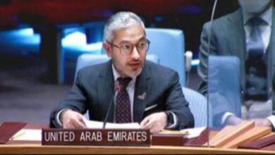 الإمارات تطالب مجلس الأمن برؤية شاملة لإنهاء النزاع في الشرق الأوسط