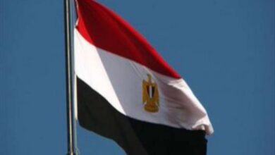 مصر تدين قرار إسرائيل بالتوسع في الاستيطان داخل أراضي الجولان السورية 6 مصر تدين قرار إسرائيل بالتوسع في الاستيطان داخل أراضي الجولان السورية