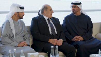 الرئيس الإماراتي يبحث التعاون المشترك مع رئيس مجلس النواب المصري