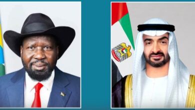الرئيس الإماراتي وسلفاكير يبحثان تعزيز التعاون الاقتصادي والاستثماري