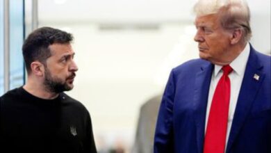 زيلينسكي وترامب يبحثان هاتفيا فرص تحقيق السلام بين كييف وموسكو