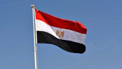 مصر تكذب ادعاءات تقديم مساعدات عسكرية لإسرائيل وتؤكد دعمها الكامل لفلسطين