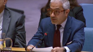 الإمارات: ما يحدث في غزة وصمة عار ونطالب بوقف فوري للحرب