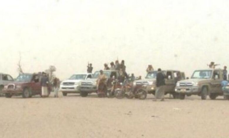 قبائل الجوف تنجح في احتواء فتنة أشعلها الحوثيون لتمزيق النسيج الاجتماعي 1 قبائل الجوف تنجح في احتواء فتنة أشعلها الحوثيون لتمزيق النسيج الاجتماعي