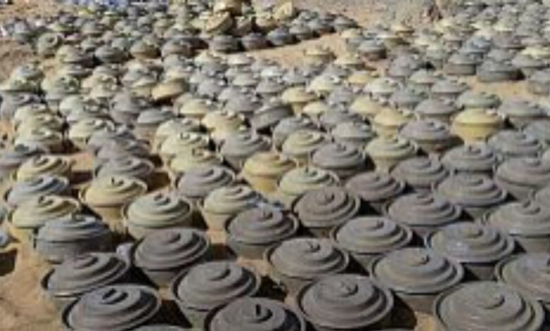 مسام ينزع 1,243 لغمًا خلال الأسبوع الثالث من يونيو