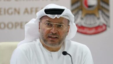 قرقاش: الإمارات واحة أمن واستقرار بفضل قيادة حكيمة ترسّخ قيم العدالة والتسامح