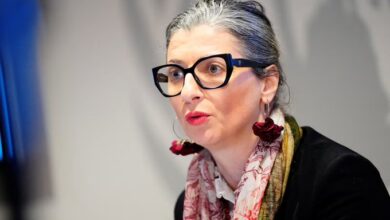 مسؤولة أممية تدعو لحظر توريد الأسلحة إلى إسرائيل بسبب جرائم غزة