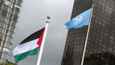 برئاسة سعودية - فرنسية.. مؤتمر دولي لحل الدولتين ينعقد أواخر يوليو 2025