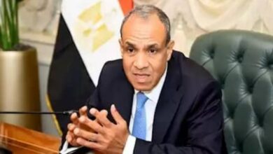 وزير الخارجية: مصر تكثف جهودها السياسية لدعم الاعتراف الدولي بدولة فلسطين