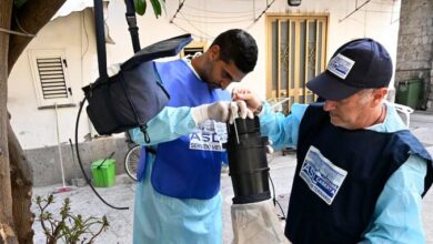 ارتفاع عدد وفيات فيروس غرب النيل في إيطاليا إلى 11 حالة منذ بداية العام
