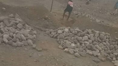 مدير أراضي الحديدة يكشف عن متورطين في نهب أراضي حيس ويحذر المواطنين