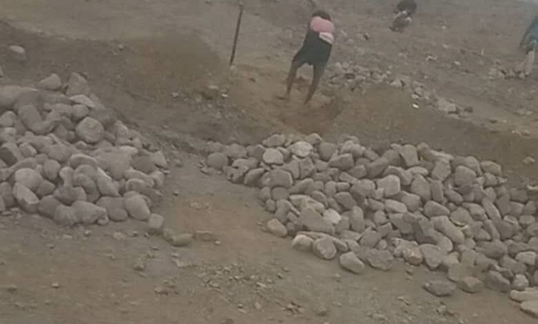 مدير أراضي الحديدة يكشف عن متورطين في نهب أراضي حيس ويحذر المواطنين