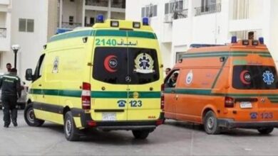نجاة مسؤولين مصريين كبيرين جراء حادث سير مروع