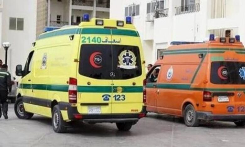 نجاة مسؤولين مصريين كبيرين جراء حادث سير مروع
