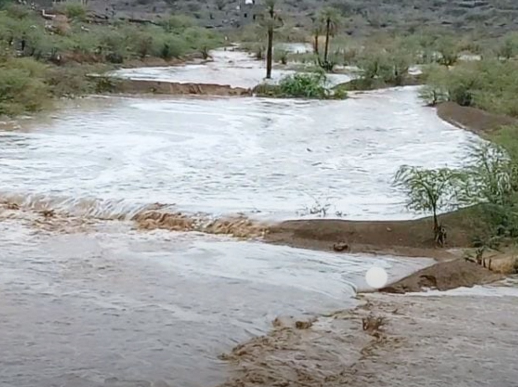 ارتفاع ضحايا السيول في تعز إلى 17 شخصًا ودمار واسع في المناطق المتضررة