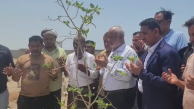 محافظ الحديدة يزور قبري حجري وبري ويشيد بتضحياتهما الوطنية 4 محافظ الحديدة يزور قبري حجري وبري ويشيد بتضحياتهما الوطنية