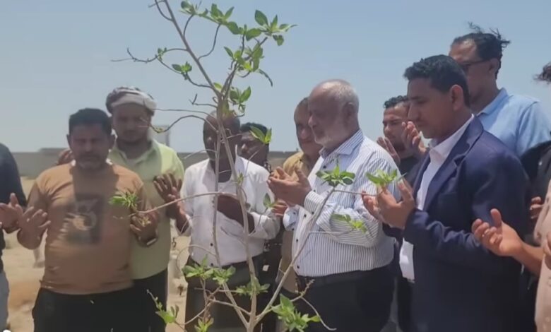محافظ الحديدة يزور قبري حجري وبري ويشيد بتضحياتهما الوطنية 1 محافظ الحديدة يزور قبري حجري وبري ويشيد بتضحياتهما الوطنية
