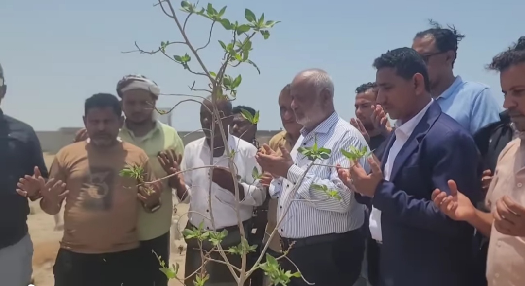 محافظ الحديدة يزور قبري حجري وبري ويشيد بتضحياتهما الوطنية