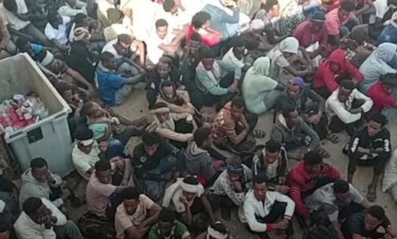 شرطة شحن تتعامل مع 564 مهاجراً إثيوبياً دخلوا البلاد بطرق غير شرعية في المهرة 1 شرطة شحن تتعامل مع 564 مهاجراً إثيوبياً دخلوا البلاد بطرق غير شرعية في المهرة
