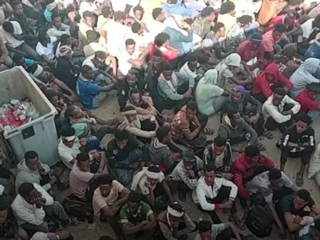 شرطة شحن تتعامل مع 564 مهاجراً إثيوبياً دخلوا البلاد بطرق غير شرعية في المهرة
