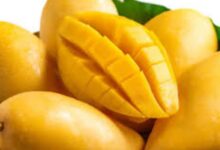 المانجو.. كيف تؤثر فاكهة الصيف المحببة على الصحة؟