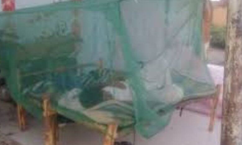 الصحة العالمية: أكثر من 21 مليون شخص في اليمن معرضين لخطر الإصابة بالملاريا