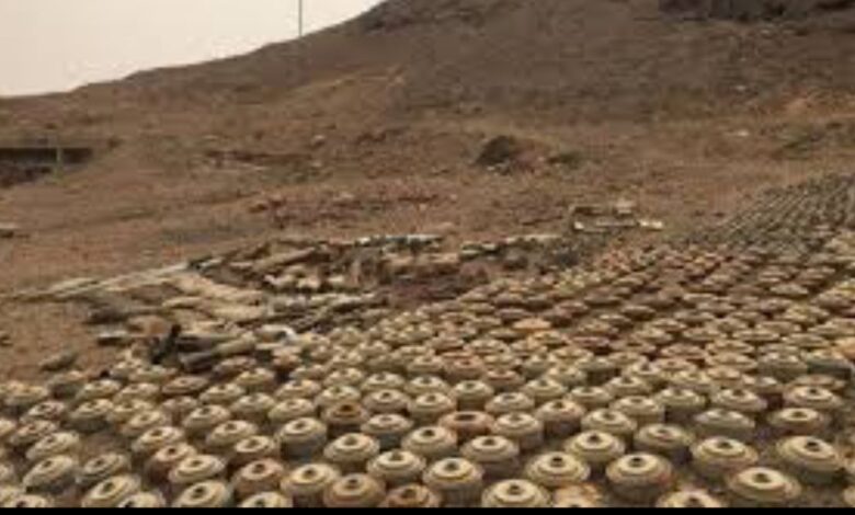 مسام ينتزع أكثر من 1400 لغم وذخيرة خلال أسبوع 1 مسام ينتزع أكثر من 1400 لغم وذخيرة خلال أسبوع