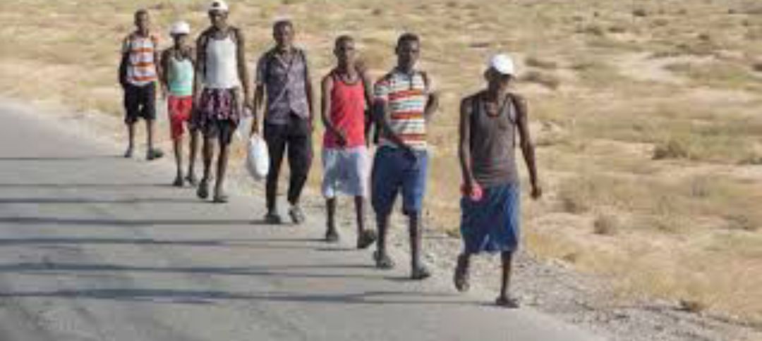 تقرير أممي: أكثر من 17 ألف مهاجر أفريقي يصلون إلى اليمن خلال نوفمبر