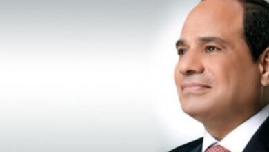 الرئيس المصري يصل العاصمة الإرتيرية أسمرة 7 الرئيس المصري يصل العاصمة الإرتيرية أسمرة