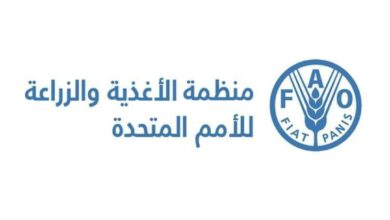 الأمم المتحدة: انخفاض مؤشر أسعار الغذاء خلال يناير الماضي